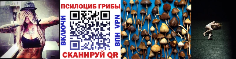 Галлюциногенные грибы мицелий  Мглин 